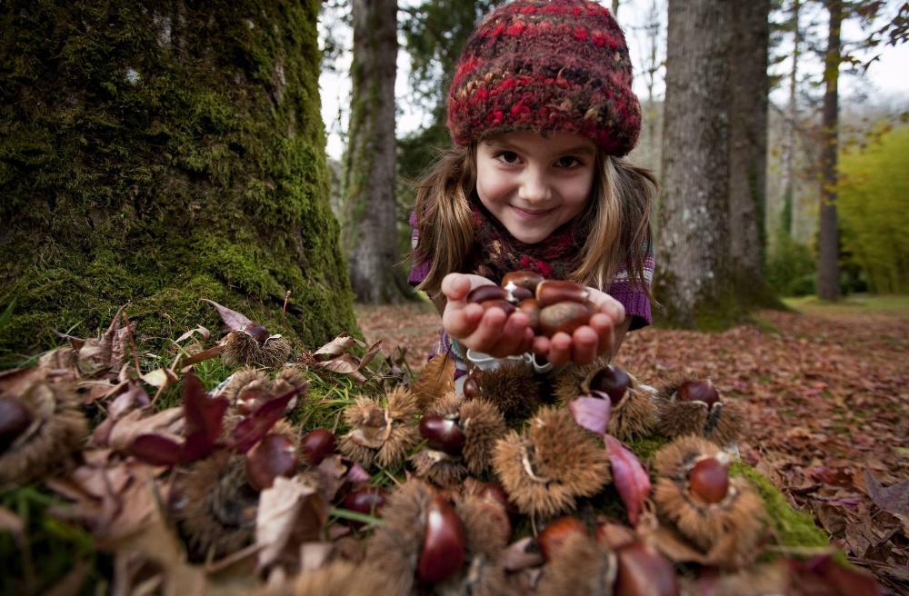 Fille dans la forêt avec des châtaignes